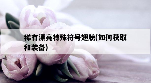 稀有漂亮特殊符號翅膀，如何獲取和裝備-圖1