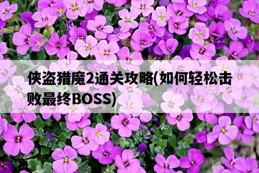 俠盜獵魔2通關攻略，如何輕松擊敗最終BOSS-圖1