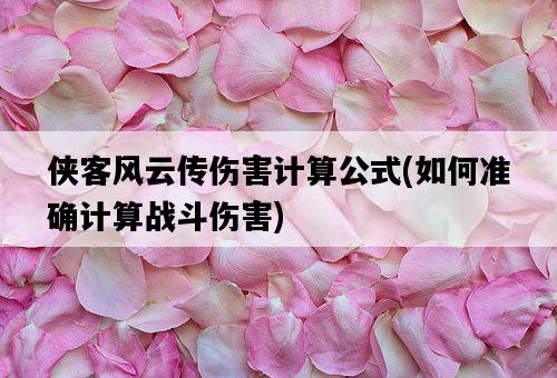 俠客風云傳傷害計算公式，如何準確計算戰斗傷害-圖1