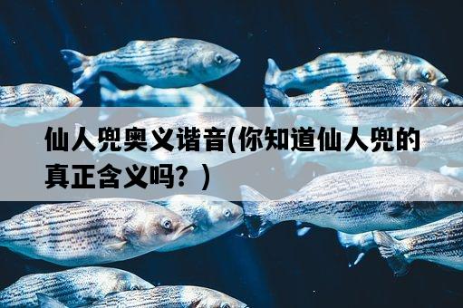 仙人兜奧義諧音，你知道仙人兜的真正含義嗎？-圖1