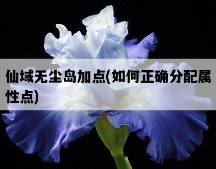 仙域無塵島加點，如何正確分配屬性點-圖1