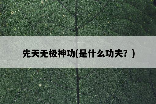 先天無極神功，是什么功夫？-圖1