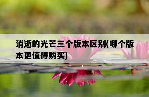 消逝的光芒三個版本區別，哪個版本更值得購買-圖1