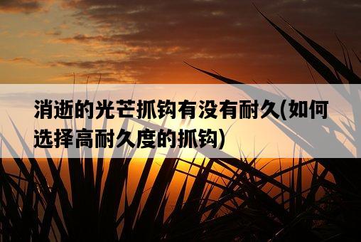 消逝的光芒抓鉤有沒有耐久，如何選擇高耐久度的抓鉤-圖1