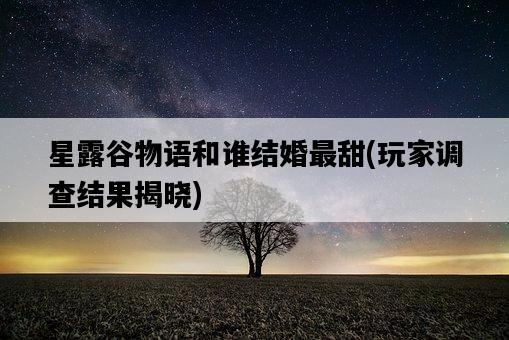 星露谷物語和誰結婚最甜，玩家調查結果揭曉-圖1