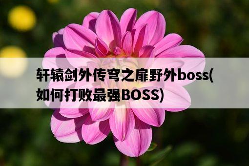 軒轅劍外傳穹之扉野外boss，如何打敗最強BOSS-圖1