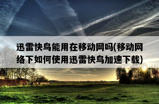 迅雷快鳥能用在移動網嗎，移動網絡下如何使用迅雷快鳥加速下載-圖1