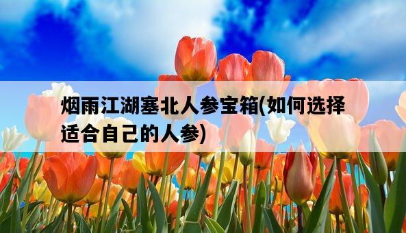 煙雨江湖塞北人參寶箱，如何選擇適合自己的人參-圖1