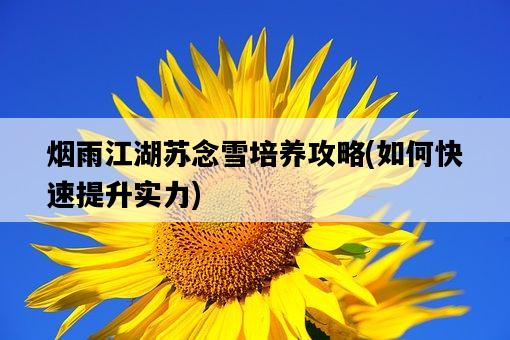 煙雨江湖蘇念雪培養攻略，如何快速提升實力-圖1