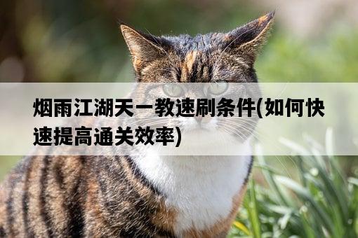 煙雨江湖天一教速刷條件，如何快速提高通關效率-圖1