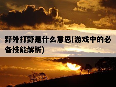 野外打野是什么意思，游戲中的必備技能解析-圖1