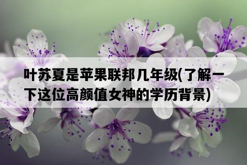 葉蘇夏是蘋果聯邦幾年級，了解一下這位高顏值女神的學歷背景-圖1