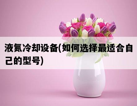 液氮冷卻設備，如何選擇最適合自己的型號-圖1
