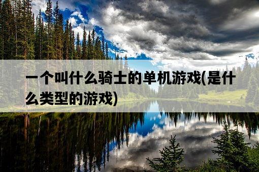一個叫什么騎士的單機游戲，是什么類型的游戲-圖1