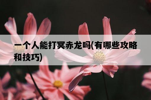 一個人能打冥赤龍嗎，有哪些攻略和技巧-圖1