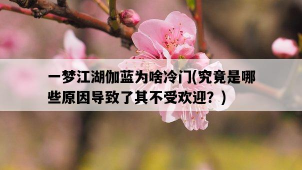 一夢江湖伽藍為啥冷門，究竟是哪些原因導致了其不受歡迎？-圖1