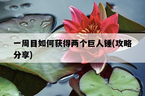 一周目如何獲得兩個巨人錘，攻略分享-圖1