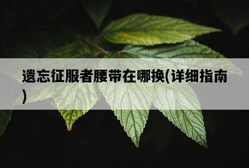 遺忘征服者腰帶在哪換，詳細指南-圖1