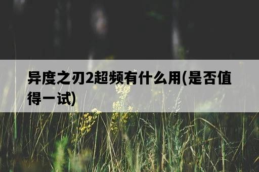 異度之刃2超頻有什么用，是否值得一試-圖1