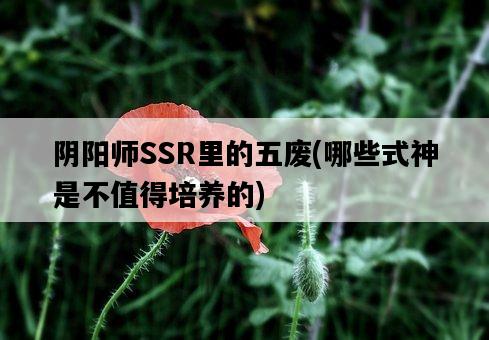 陰陽師SSR里的五廢，哪些式神是不值得培養的-圖1