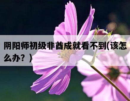 陰陽師初級非酋成就看不到，該怎么辦？-圖1