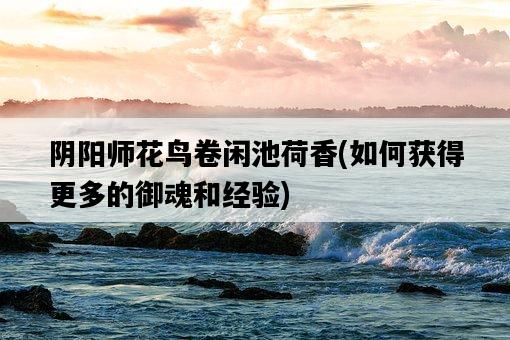 陰陽師花鳥卷閑池荷香，如何獲得更多的御魂和經驗-圖1