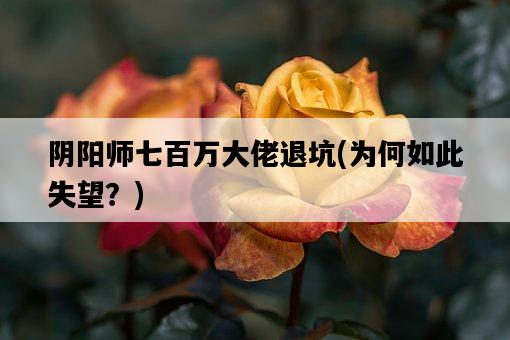 陰陽師七百萬大佬退坑，為何如此失望？-圖1