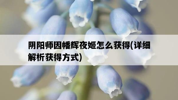 陰陽師因幡輝夜姬怎么獲得，詳細解析獲得方式-圖1