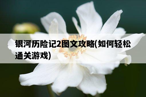 銀河歷險記2圖文攻略，如何輕松通關游戲-圖1
