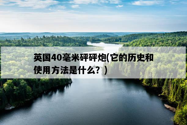 英國40毫米砰砰炮，它的歷史和使用方法是什么？-圖1