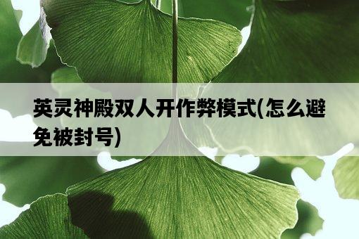 英靈神殿雙人開作弊模式，怎么避免被封號-圖1