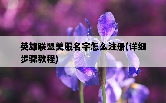 英雄聯盟美服名字怎么注冊，詳細步驟教程-圖1
