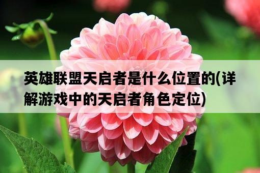 英雄聯盟天啟者是什么位置的，詳解游戲中的天啟者角色定位-圖1