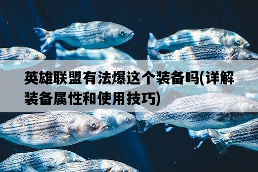 英雄聯盟有法爆這個裝備嗎，詳解裝備屬性和使用技巧-圖1