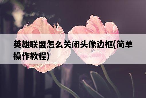英雄聯盟怎么關閉頭像邊框，簡單操作教程-圖1