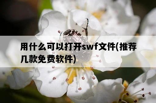 用什么可以打開swf文件，推薦幾款免費軟件-圖1