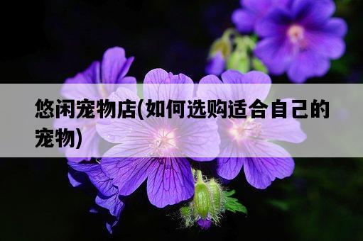 悠閑寵物店，如何選購適合自己的寵物-圖1