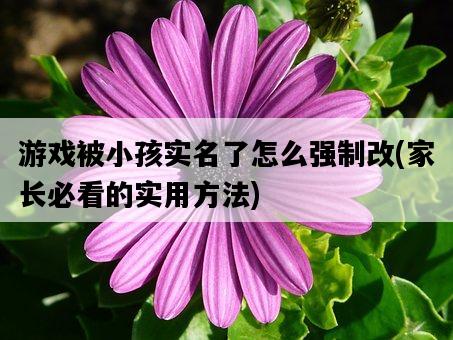 游戲被小孩實名了怎么強制改，家長必看的實用方法-圖1