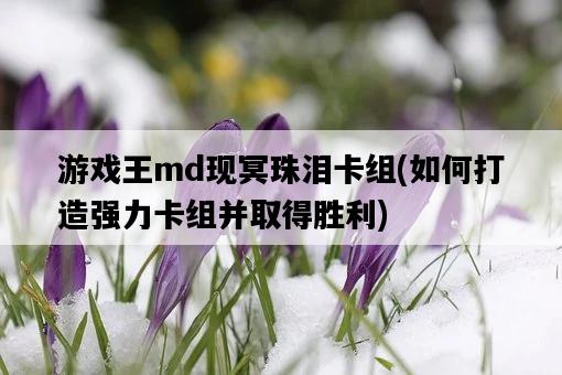 游戲王md現冥珠淚卡組，如何打造強力卡組并取得勝利-圖1