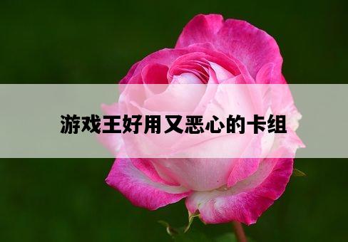 游戲王好用又惡心的卡組-圖1