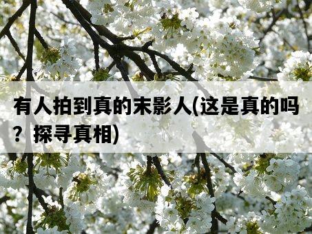有人拍到真的末影人，這是真的嗎？探尋真相-圖1