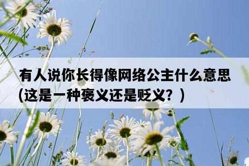 有人說你長得像網絡公主什么意思，這是一種褒義還是貶義？-圖1