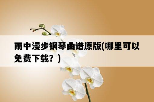 雨中漫步鋼琴曲譜原版，哪里可以免費下載？-圖1