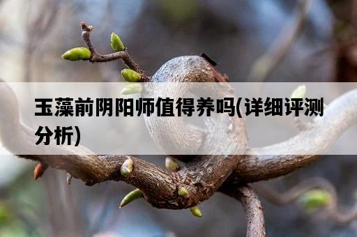 玉藻前陰陽師值得養嗎，詳細評測分析-圖1