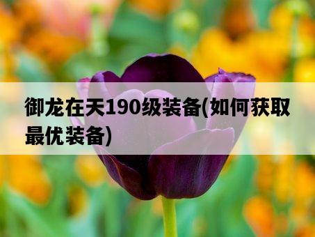 御龍在天190級裝備，如何獲取最優裝備-圖1