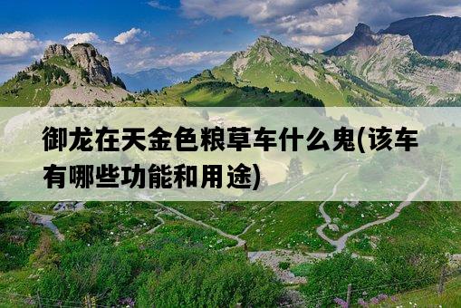 御龍在天金色糧草車什么鬼，該車有哪些功能和用途-圖1