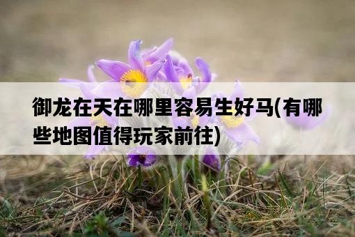 御龍在天在哪里容易生好馬，有哪些地圖值得玩家前往-圖1