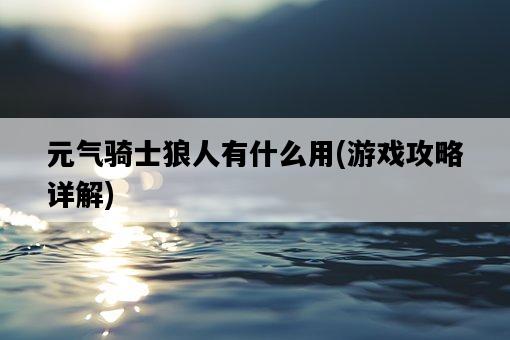 元氣騎士狼人有什么用，游戲攻略詳解-圖1