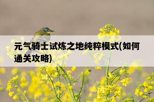 元氣騎士試煉之地純粹模式，如何通關攻略-圖1