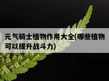 元氣騎士植物作用大全，哪些植物可以提升戰斗力-圖1